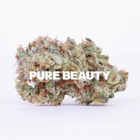 Mango Mintality | 3.5g Indoor