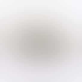 Mango Mintality | 3.5g Indoor