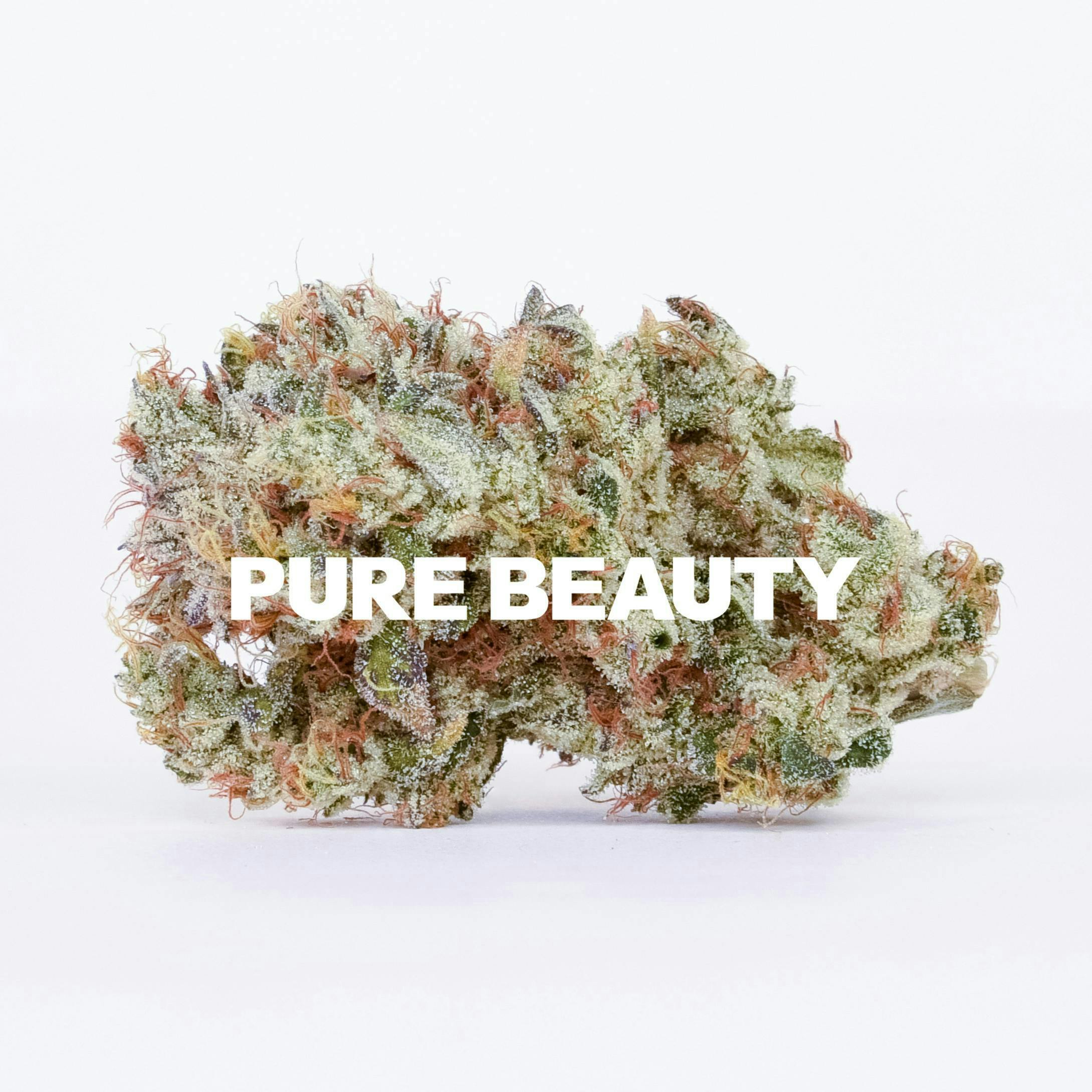Pure Beauty — Mango Mintality