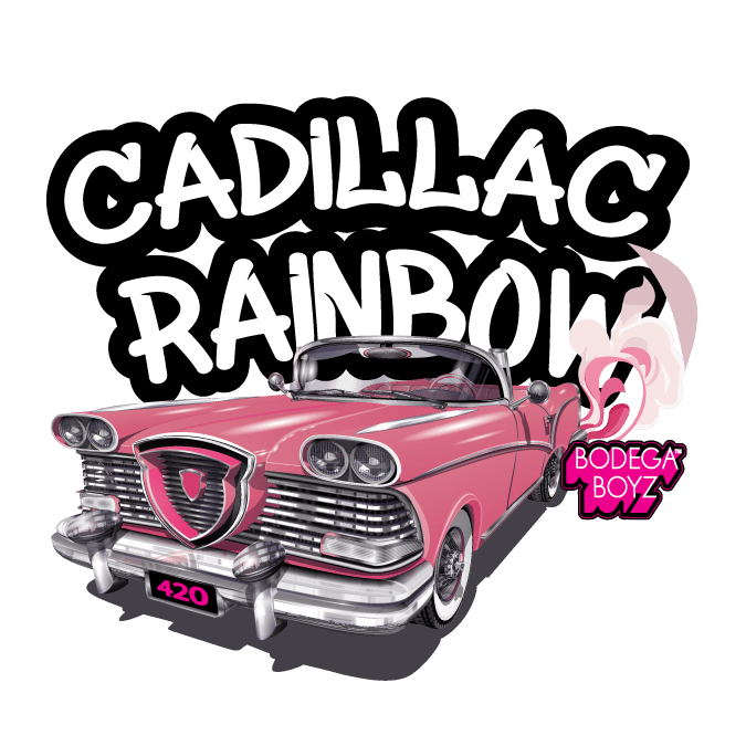 Cadillac Rainbow Miniz | OK by Bodega Boyz