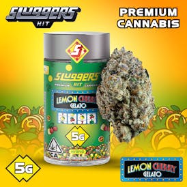 Sluggers - Jarred Flower - 5g - Lemon Cherry Gelato