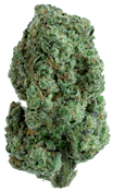 Gold Standard Flower 7g - Lemon Cherry Sherbet 31%