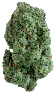 GOLD STANDARD (CA) - Gold Standard Flower 7g - Lemon Cherry Sherbet 31%