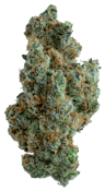 Gold Standard Flower 7g - Applescottie 32%