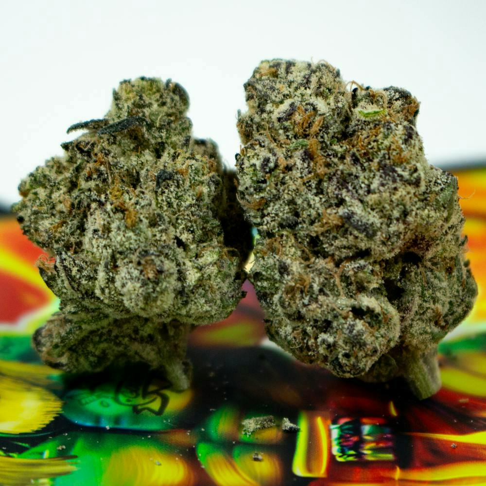 TEDS BUDZ — Jaw Stomper