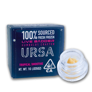 URSA EXTRACTS - Tropical Smoothie 1G Live Badder (Ursa)