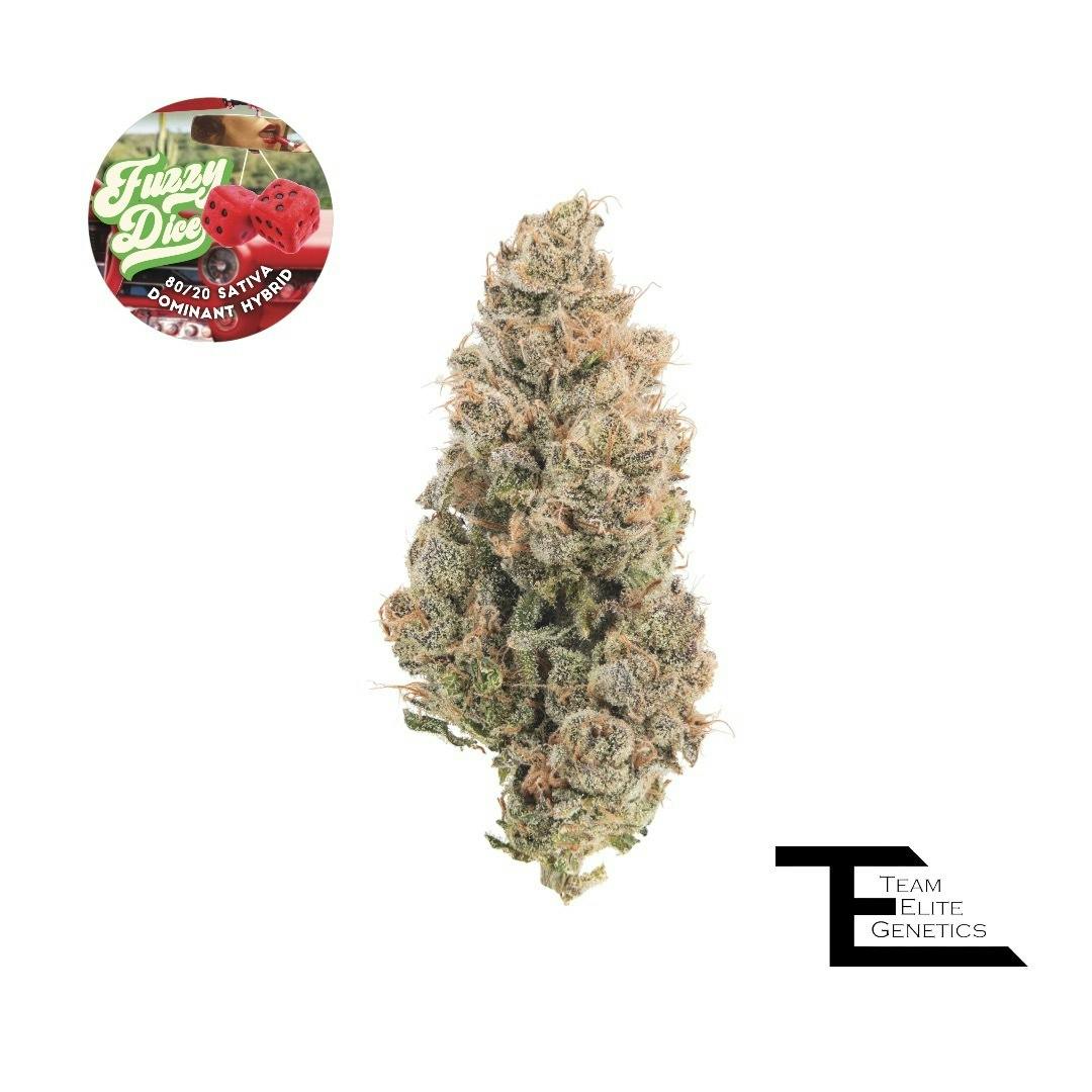 Team Elite Genetics — Fuzzy Dice