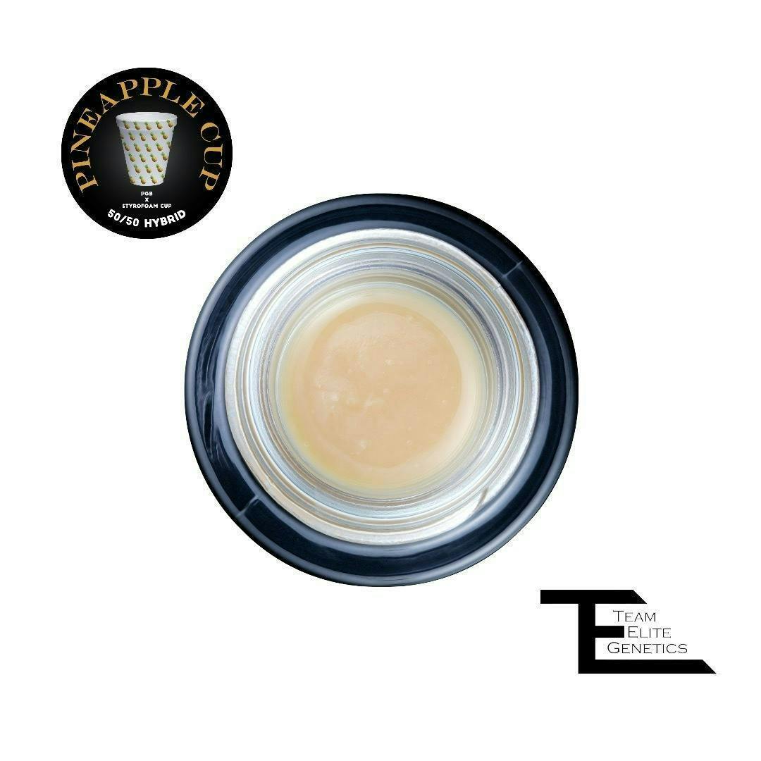 Team Elite Genetics — Pineapple Cup