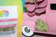 Trusty - Thin Mint Cookies Greenhouse Flower 3.5G(22%THC, Hybrid)