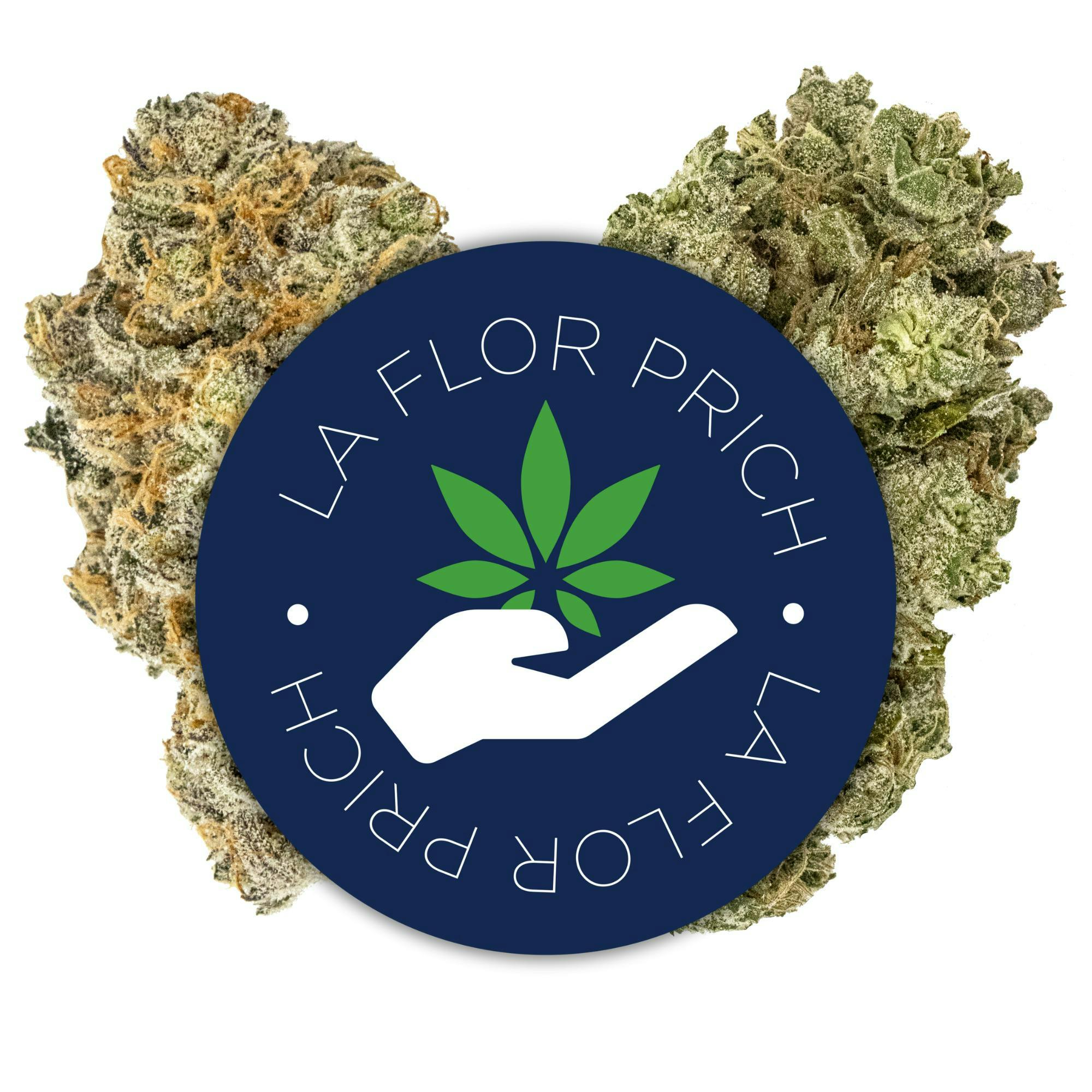 Purple Octane Flower - La Flor De Prich