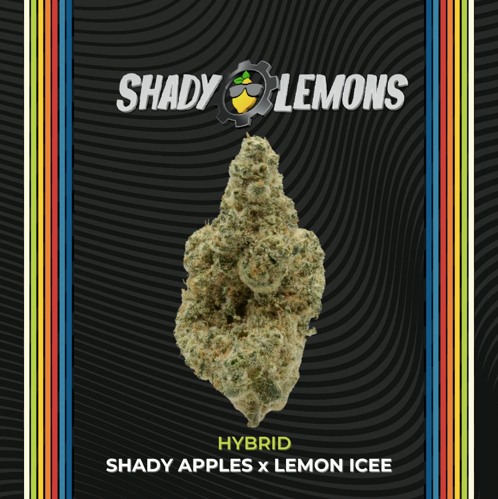 Certified Cultivators | Flower | Shady Lemons