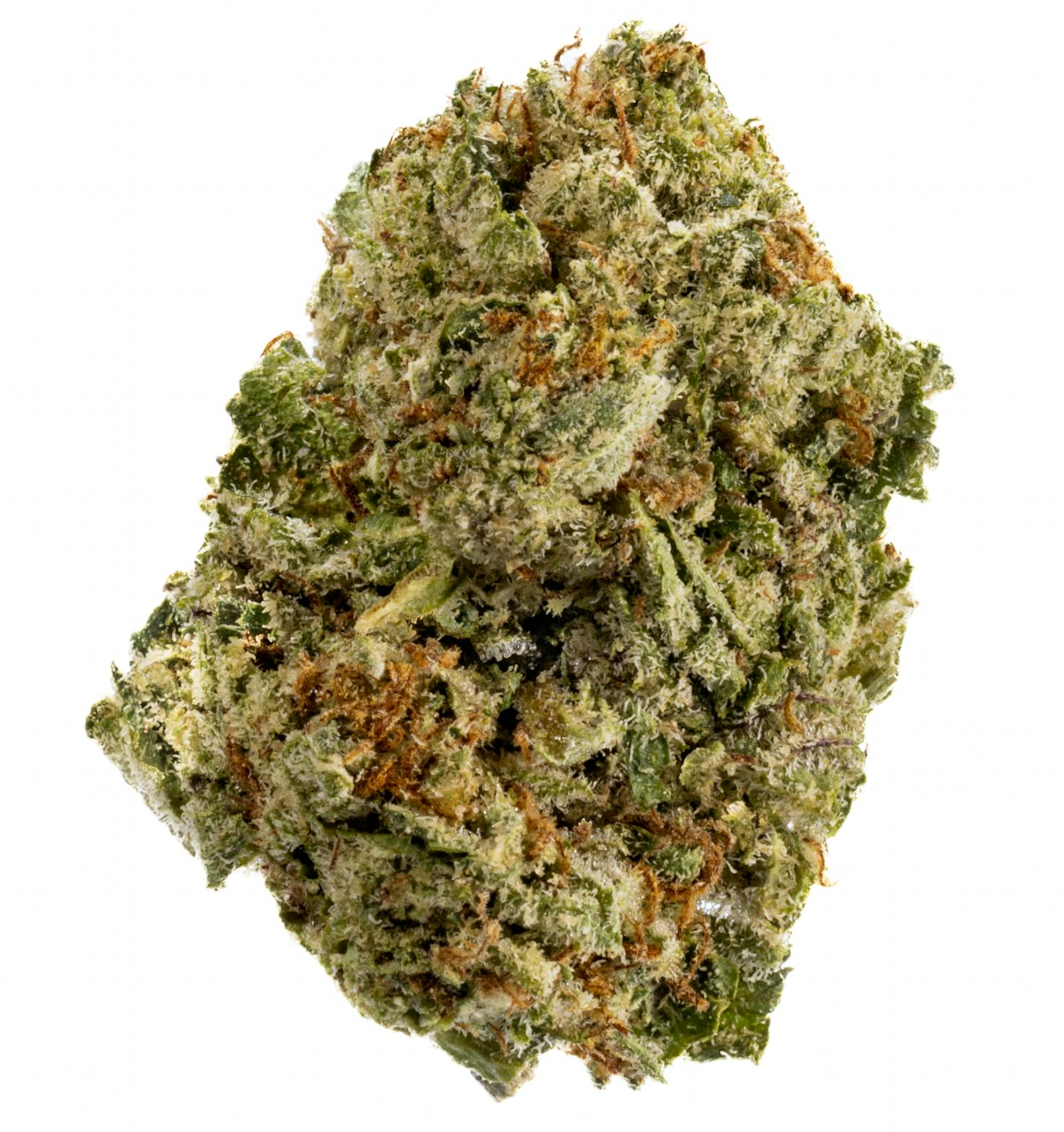 West Coast Cure — Tropical Zlushie