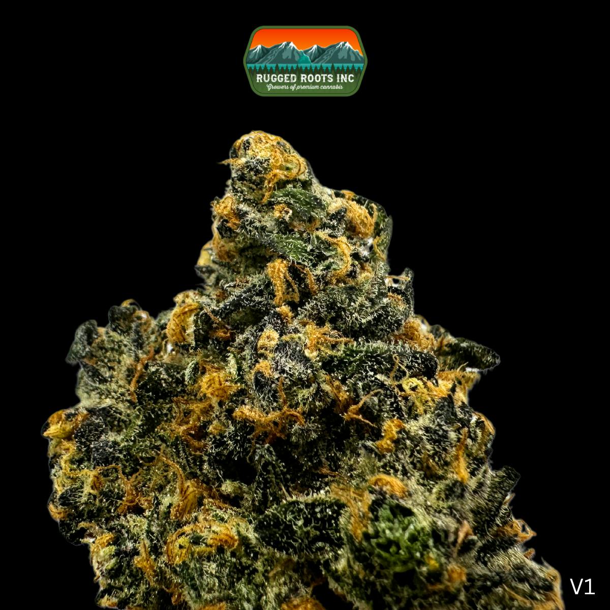 iPhone - roots $_12.JPG?set_id=880000500F