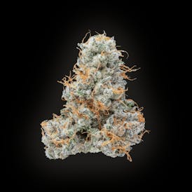 Caleta Flower | Kush Mintz