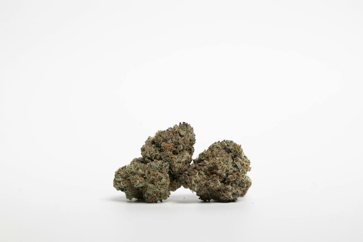 7g Flower- Biscotti by SPARQ