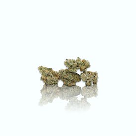 CAM | Bubba's Girl (1g)