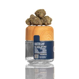 CAM | Scotties Cake (3.5g)