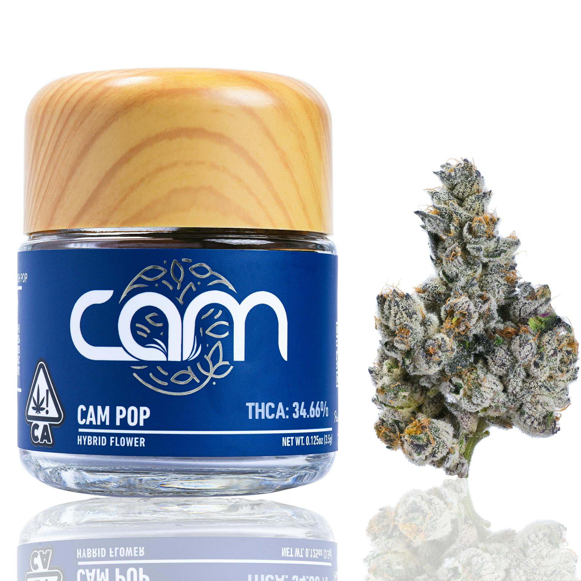 CAM — Cam Pop