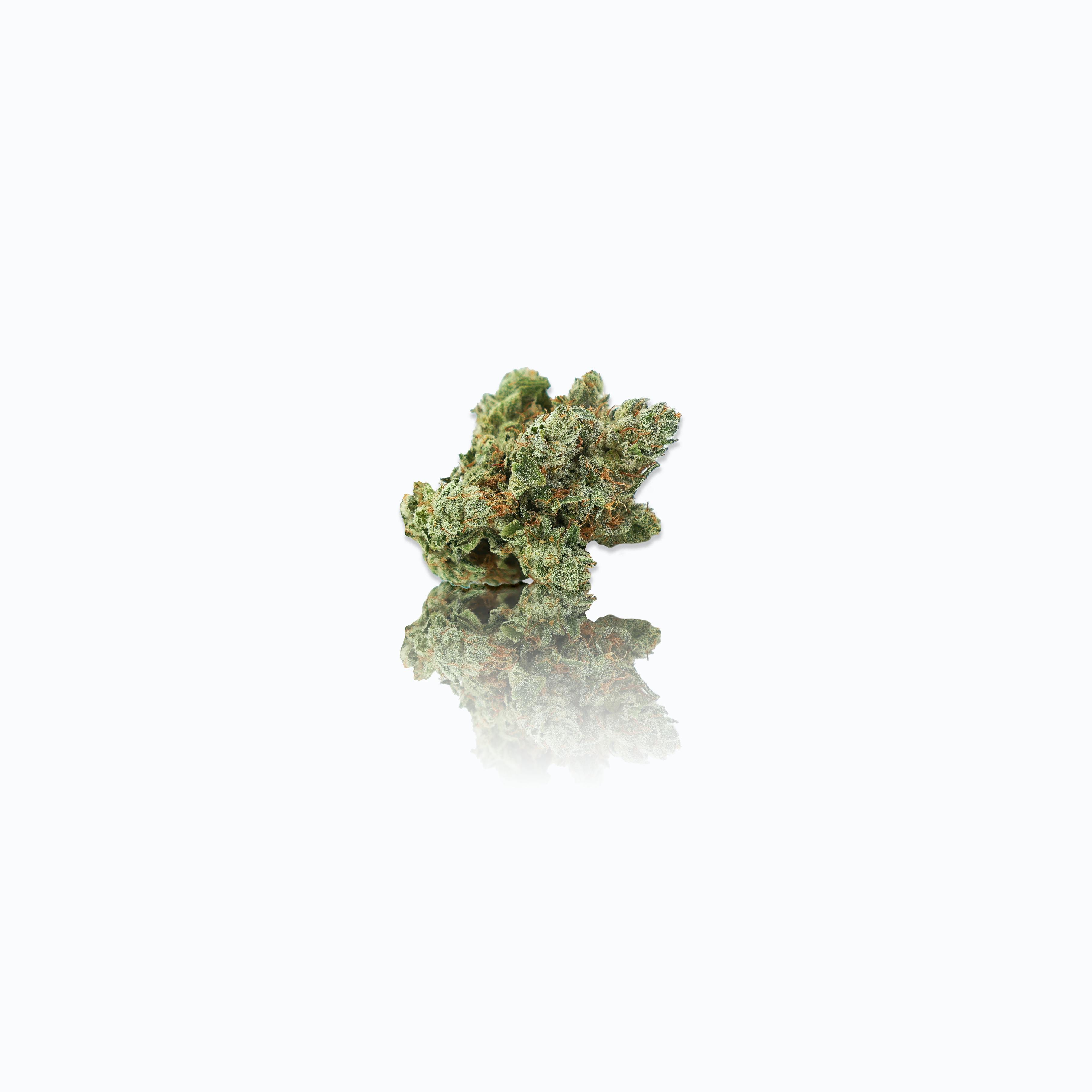 CAM | CAM's Super Glue | Big Buds | 1g