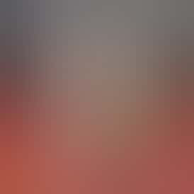 Sluggers - Jarred Flower - 5g - Fire OG