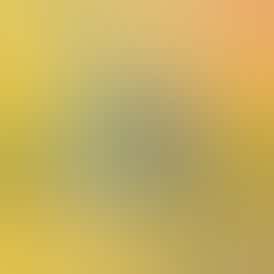 Sluggers - Jarred Flower - 5g - Lemon Cherry Gelato