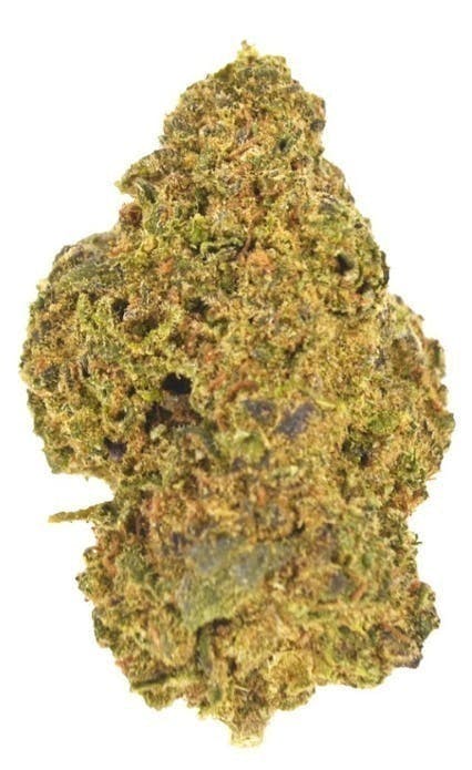 Smoakland Xclusivez — GMO Cookies