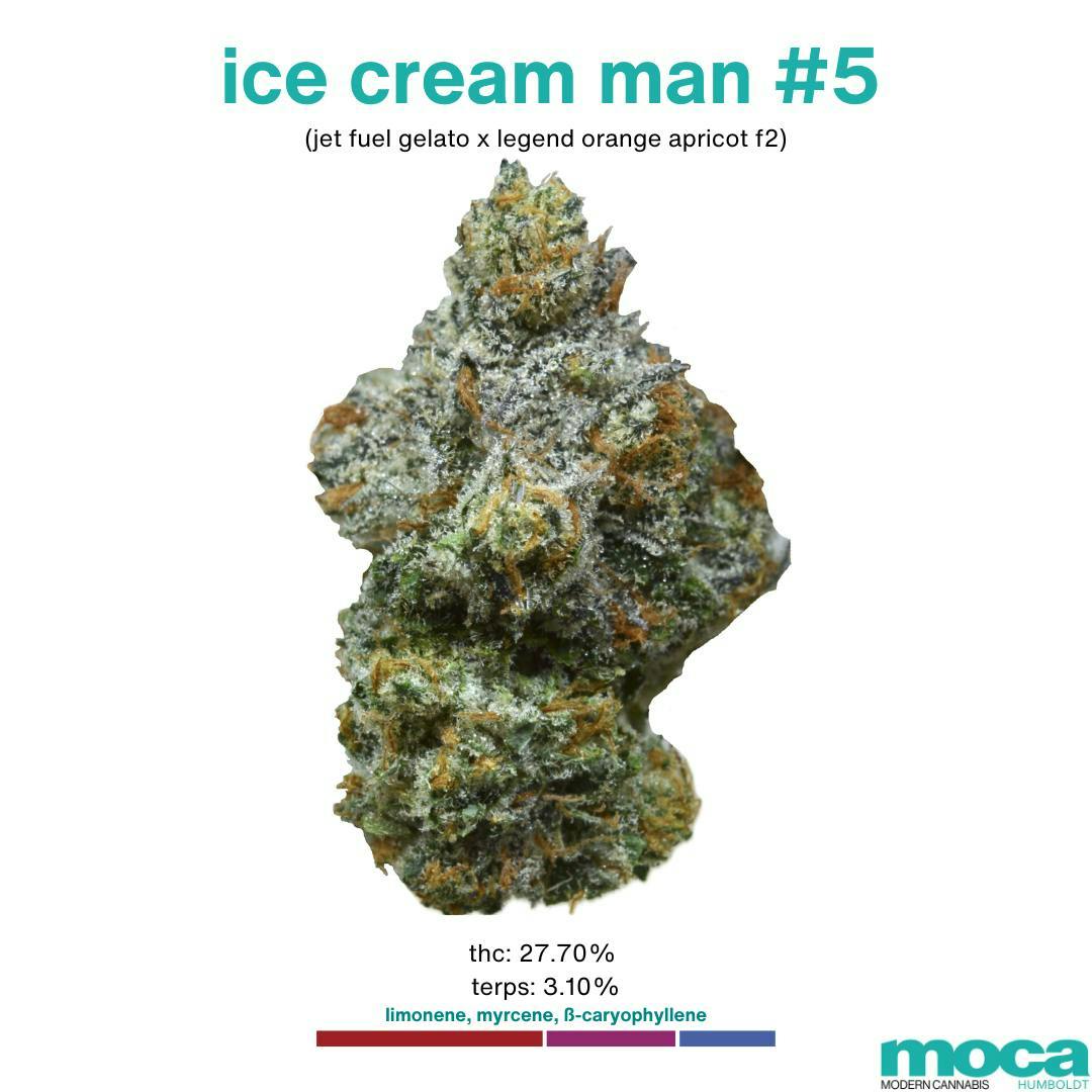 Flowers 1/8th Jar Ice Cream