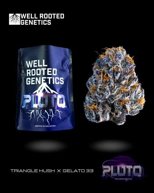 Well Rooted Genetics | Pluto | Big Buds | 3.5g