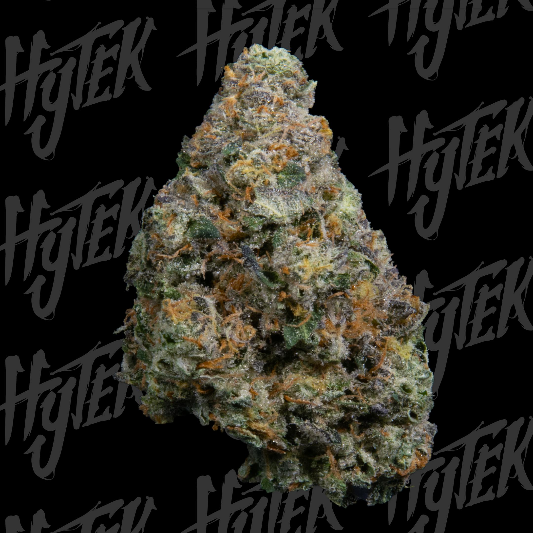 HYTEK | FIRST CLASS FUNK | BULK DELI FLOWER