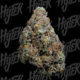 HYTEK | FIRST CLASS FUNK | BULK DELI FLOWER
