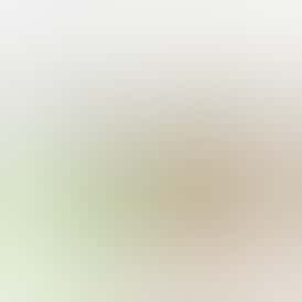 LIL LEFTYS Infused Prerolls - Watermelon Mojito 🍉