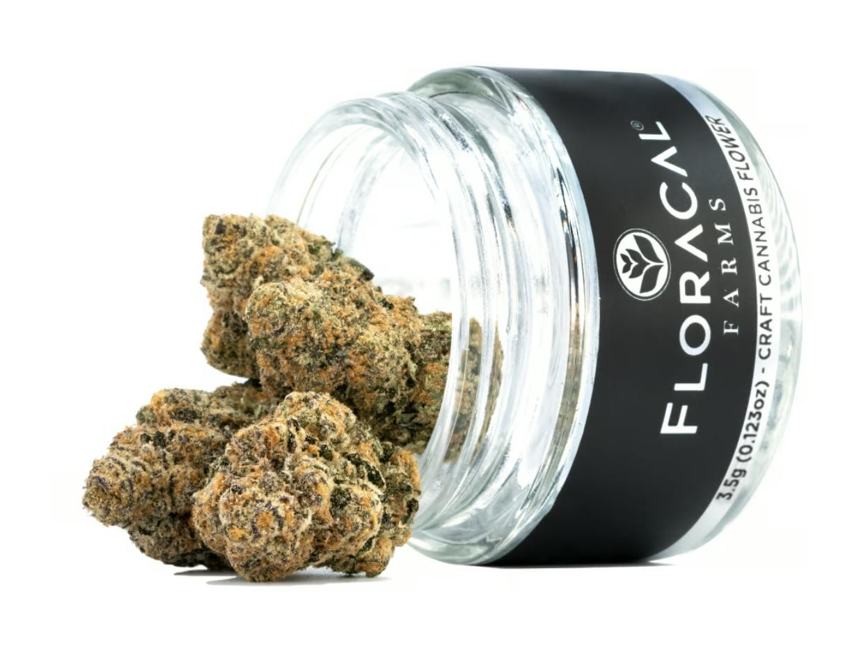 Morning Dew | Sativa Flower [3.5g] by FloraCal Farms