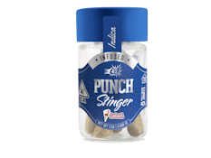 Punch - Gelati Stinger (Indica) 5 Pre Rolls 2.5g