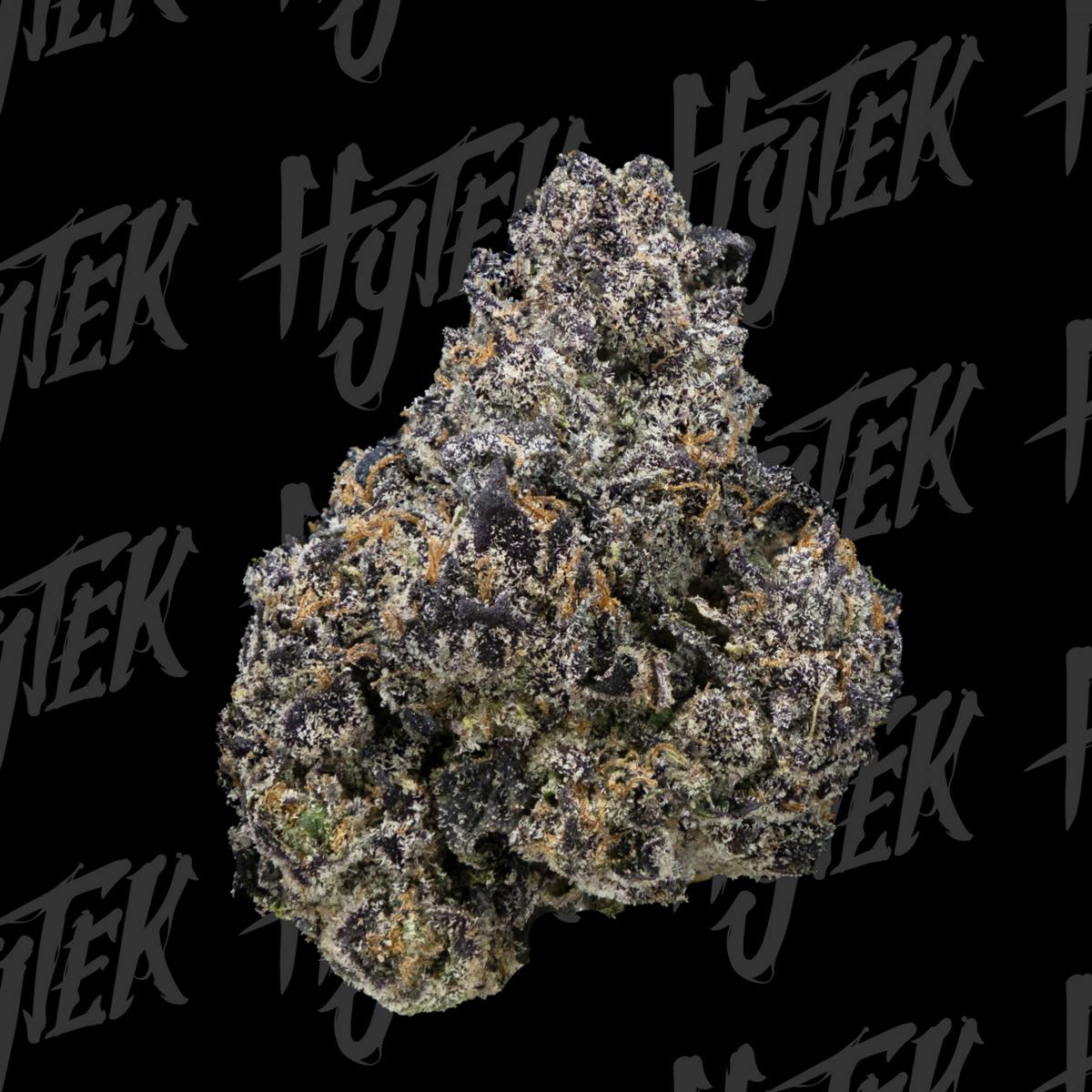 HYTEK | SHERB CREAM PIE | BULK DELI FLOWER by Hytek