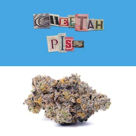 Cookies - 3.5G - Cheetah Piss