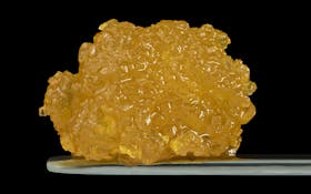 Gary Payton Live Resin Sauce