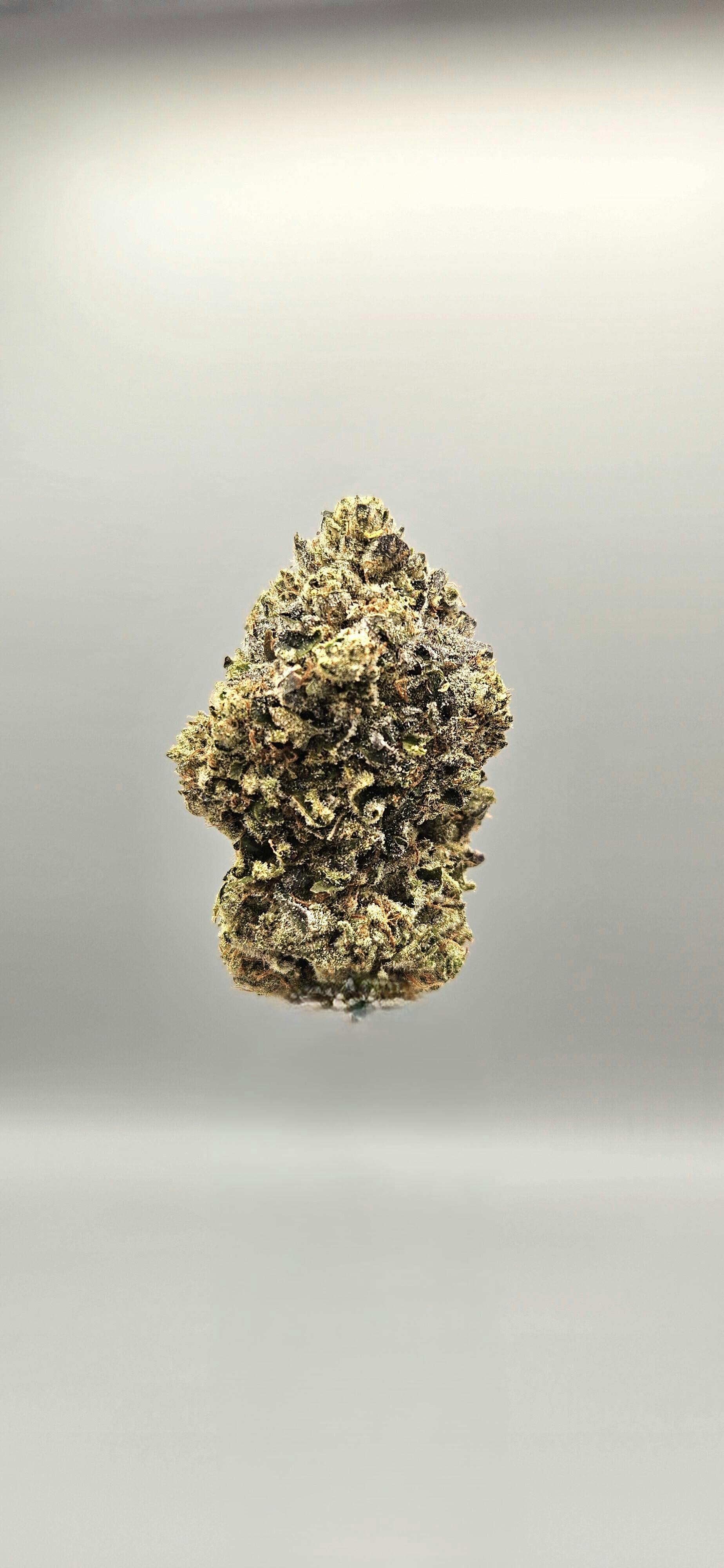 Flower - Tier 2 - Dosilato by Ripple Wellness