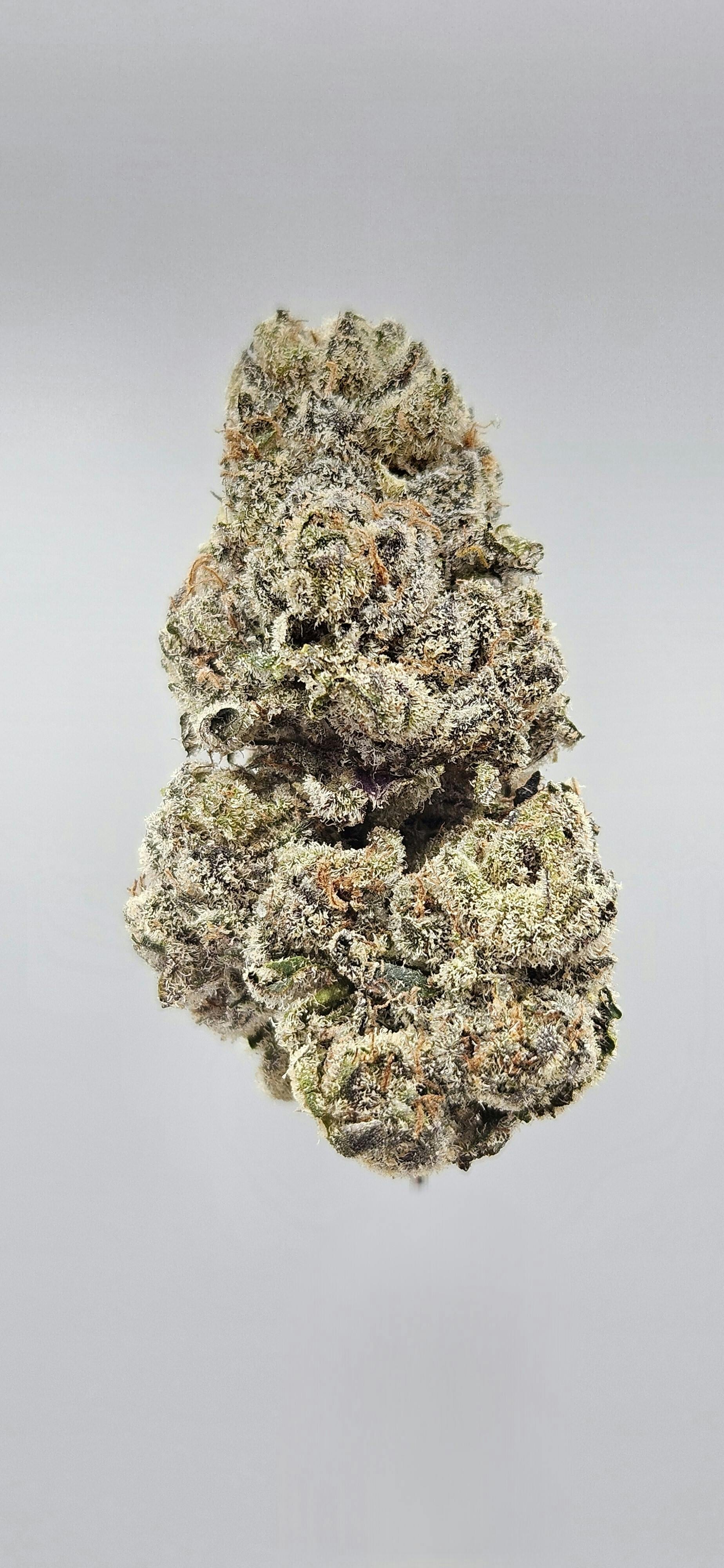 Flower - Tier 2 - White Runtz by Ripple Wellness