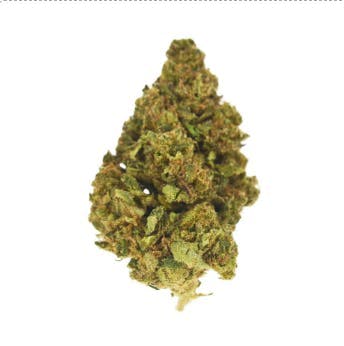 Smoakland — GMO Cookies