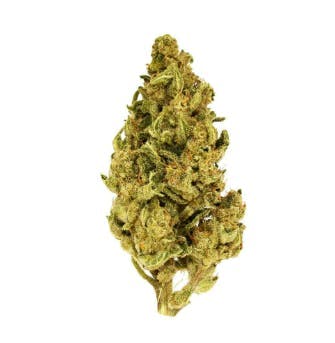 Smoakland — Maui Wowie
