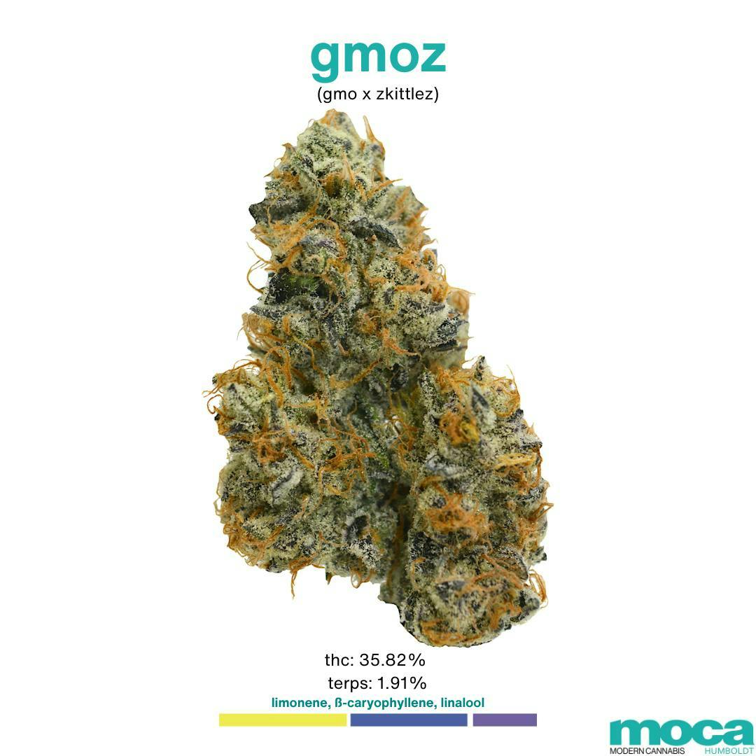 Flowers 1/8th Mylar Bag Gmoz