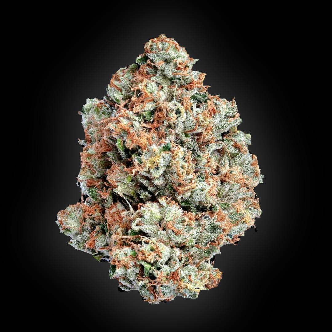 Caleta Flower | Gaz Cap by Auraz