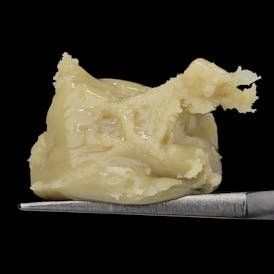 BANANA PAPAYA - Full Spec Live Rosin Cold Cure by Master Makers