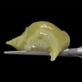 GARY PAYTON - Live Rosin Cold Cure Badder