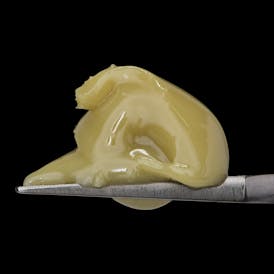 RAINBOW BELTZ X GG41 - Live Rosin Cold Cure Badder