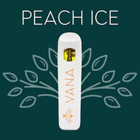 Peach Ice - 1 Gram Disposable