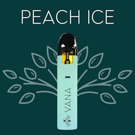 Peach Ice - 2 Gram Disposable