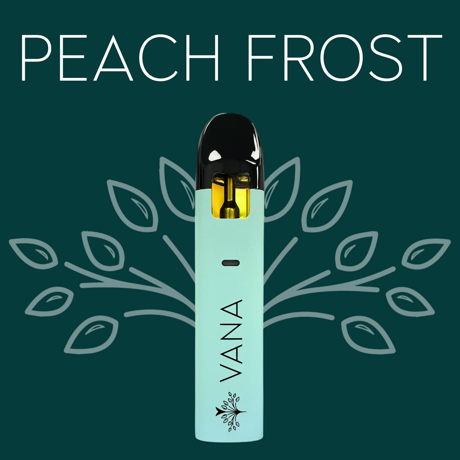 Peach Frost Gram Disposable