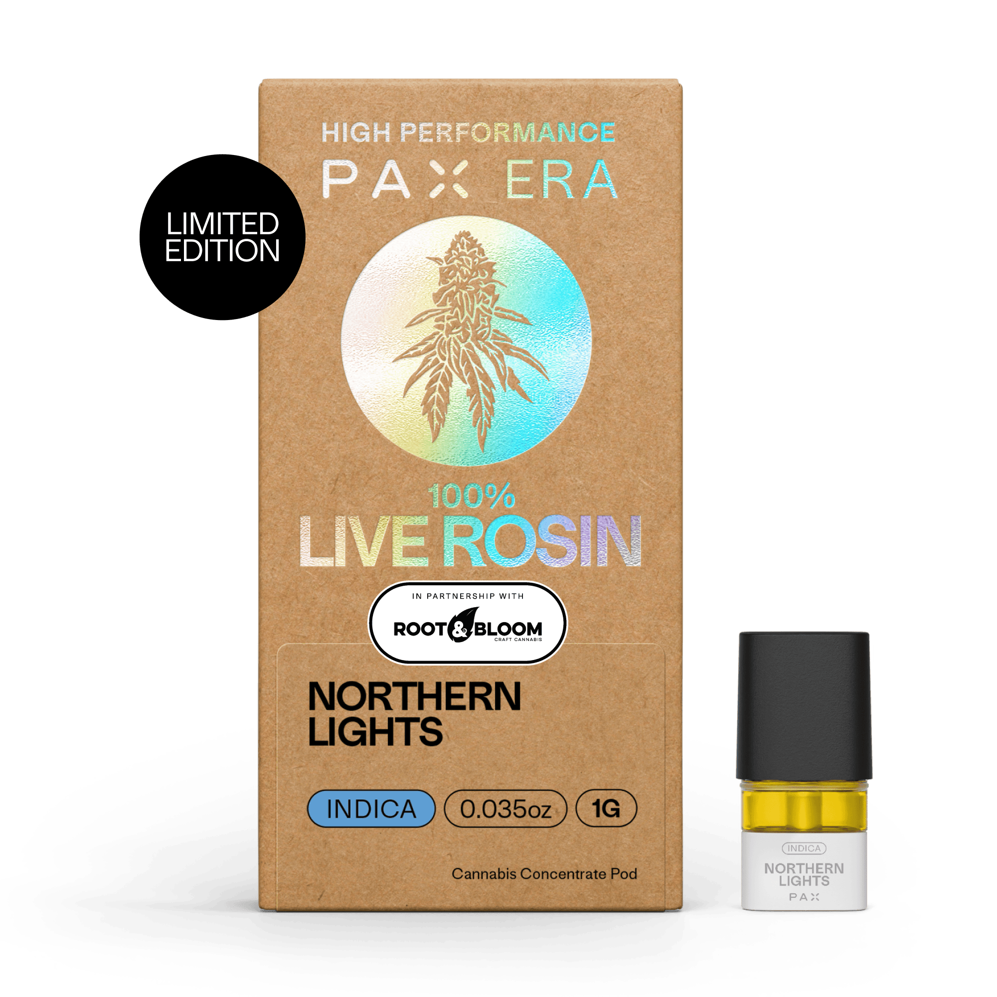 PAX: Northern Lights