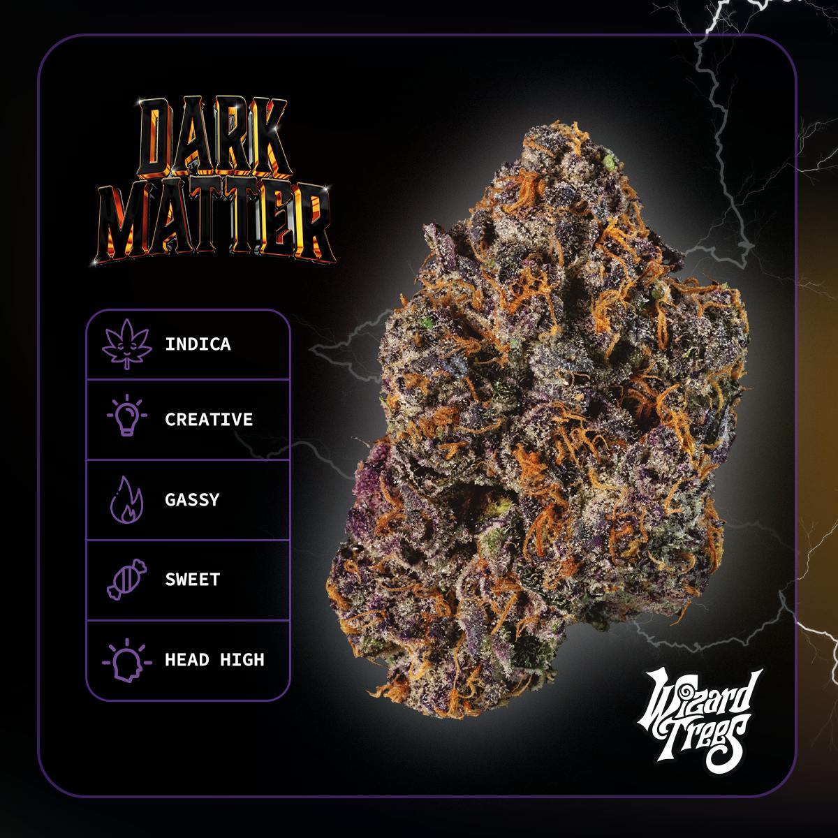 WIZARD TREES — Dark Matter